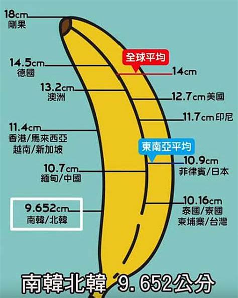 下面尺寸|人類陰莖尺寸